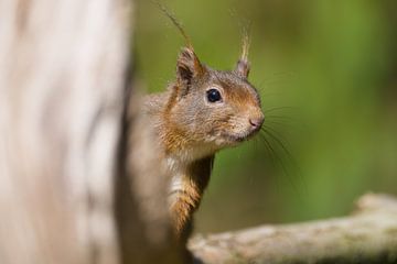Around the corner by Stobbe; stiltegrafie