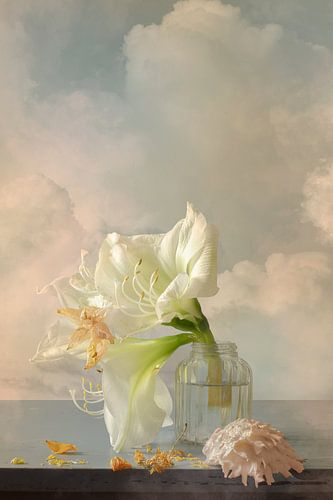 Still life 'Between heaven and earth III'