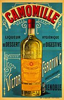 Likeur Camomille Victor Ferotin 1898