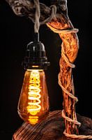 Boomstam lamp met hennep kabel