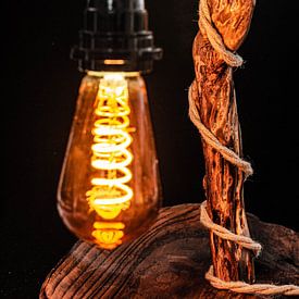 Tree trunk lamp with hemp cable by Dennis  Georgiev