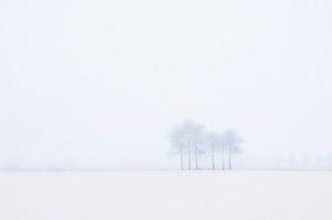 Winterlandschaft im Nebel