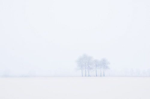 Paysage hivernal dans le brouillard