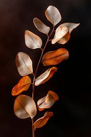 Zarte Blätterstruktur von Poster Art Shop