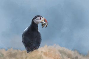 Puffin avec poisson dans la bouche sur Leon Brouwer