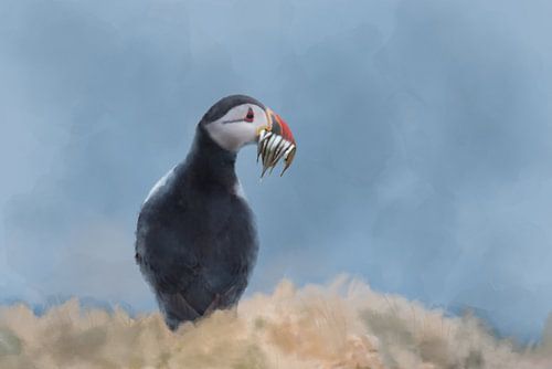 Puffin with fish in mouth
