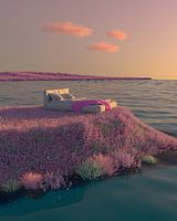 Roze eiland droom