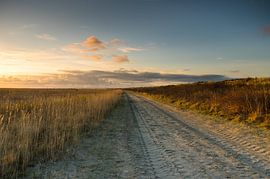 Beach, Ameland, Netherlands