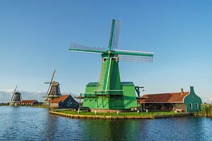 Drei Windmühlen in der Zaanse Schans