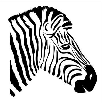 Illustration moderne de Zebra sur Kirtah Designs