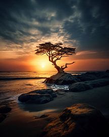 Sunset at the Pacific Ocean