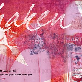 Shaken not stired van Fabian  van Bakel