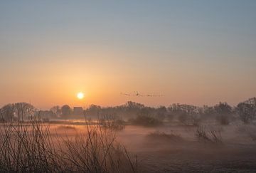 Meinerswijk partie 24 sur Tania Perneel