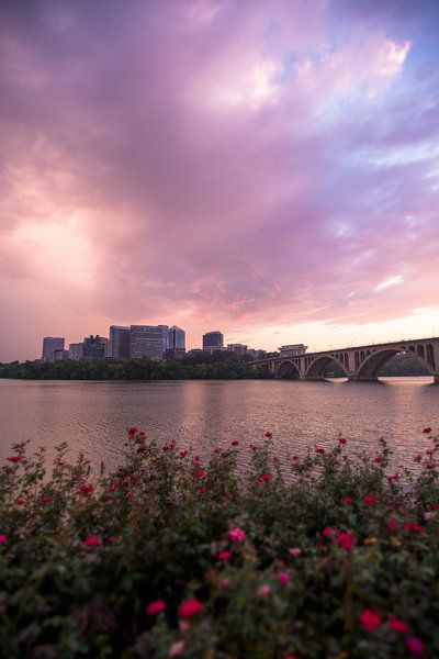 Washington DC by Hello Pompoyo