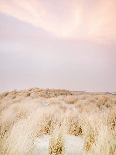 Ameland
