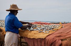 Fisherman in Sri Lanka by Dilani Butink