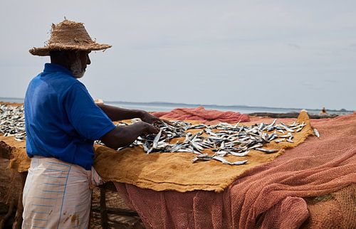 Fisherman in Sri Lanka