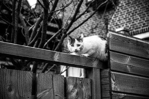 Strangely familiar 02