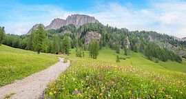 Wanderweg zum Grödner Joch im Frühling, Südtirol von SusaZoom