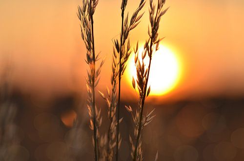 Zwischen Himmel und Erde
