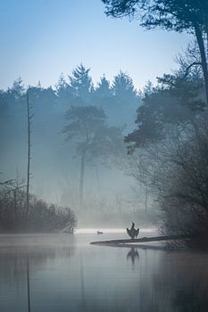 Oisterwijkse Vennen, blauw Pastel