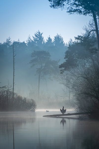 Oisterwijk Fens, bleu Pastel par Robin Gooijers | Fotografie