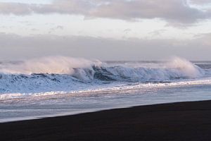 Die Kraft der Kontraste - Islands schwarze Küstenlinie