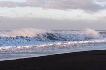 La force des contrastes - La côte noire de l'Islande sur Femke Ketelaar