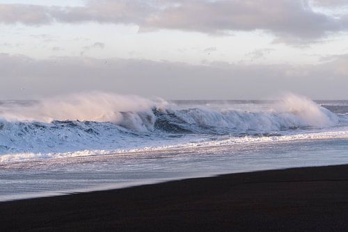 Kracht van Contrast De Zwarte Kustlijn van IJsland