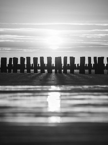 Sunset Zoutelande Black and White (vertical)