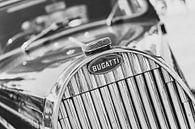 Bugatti Type 57 Berline grille with the Bugatti logo by Sjoerd van der Wal thumbnail