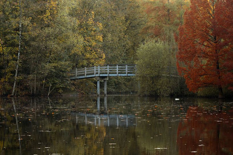 Herbstliche Reflexion auf dem Wasser von Fotografie door Geert-Jan