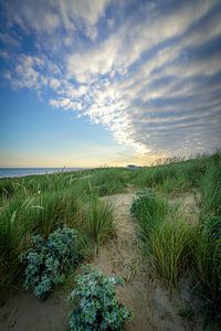 Dunes, mer aux Pays-Bas sur Dirk van Egmond