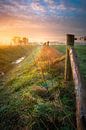 Sunrise by Jeroen Lagerwerf thumbnail