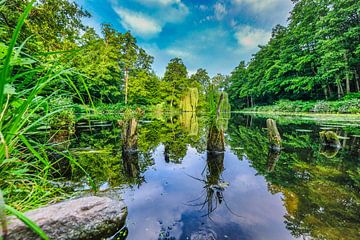 Schöner See an einem strahlenden Sommertag von pixxelmixx