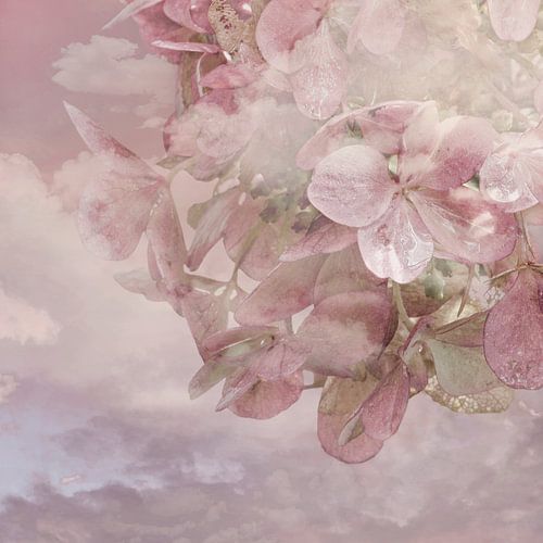 For You From Heaven. Tranquility in Pastel.