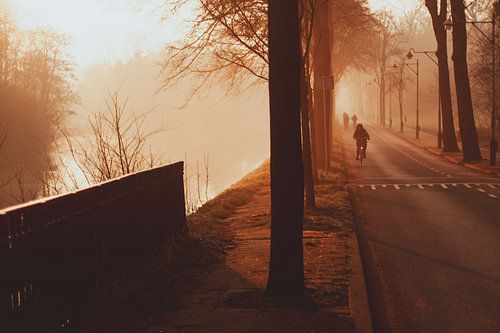 Mistige ochtend op de Westbroekweg in Den Haag