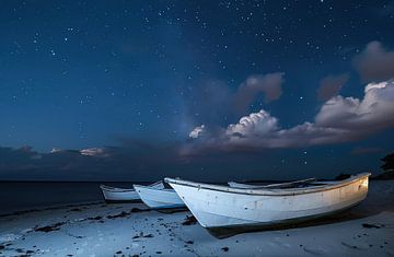 Boot in het maanlicht van fernlichtsicht