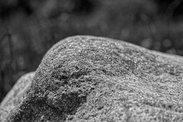 Randafgeronde granietrots van Frank Heinz