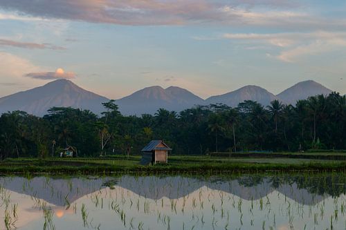 Guten Morgen Bali von Ellis Peeters