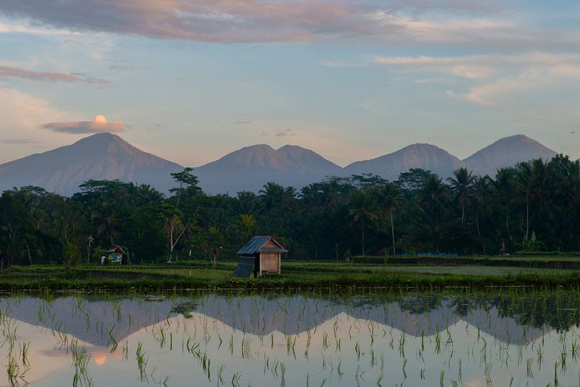 Bonjour Bali par Ellis Peeters