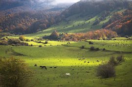 Magnifique paysage automnal brumeux dans la Garrotxa, en Catalogne sur PhotoCluster