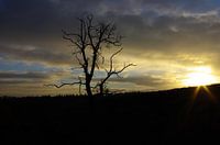 Verduistering