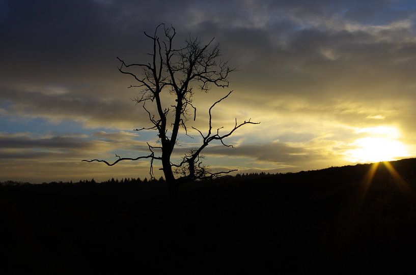 Verduistering par Jessey Vrossink