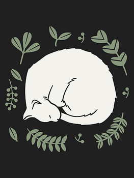 Schlafende Katze