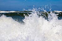 The wave