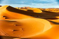 Sahara van Paul Piebinga thumbnail