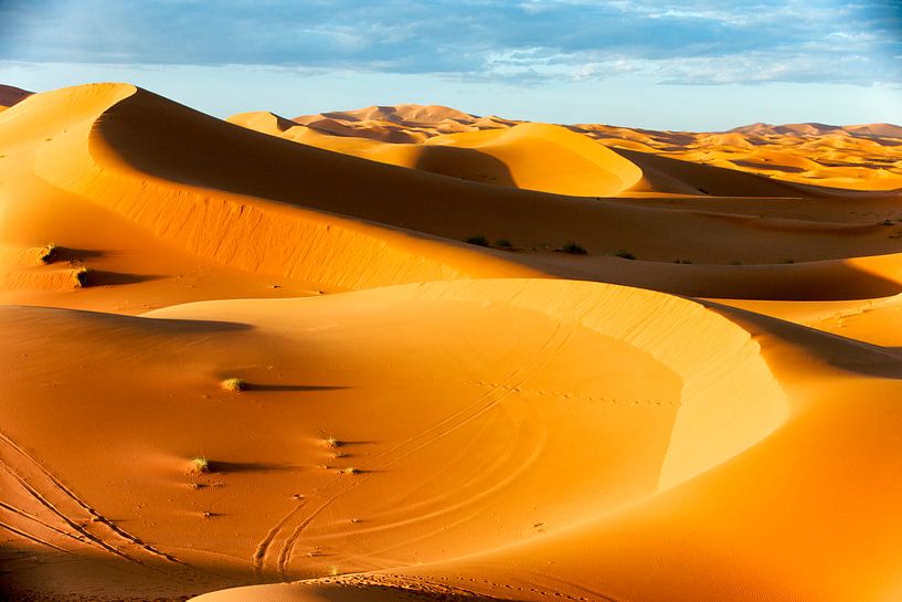 Sahara par Paul Piebinga