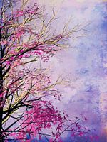 Farben der Natur