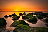 Sonnenuntergang Sonnenuntergang Katwijk aan Zee Niederlande von Wim van Beelen Miniaturansicht